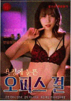 一路向西之恋 电影海报